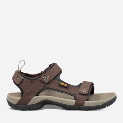 Teva Meacham Men's Hiking Sandals South Africa - JHG491053